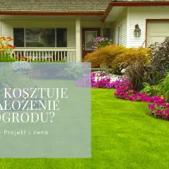 Ile kosztuje wykonanie ogrodu? Poznaj ceny i czynniki wpływające