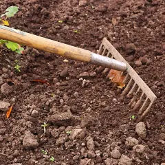 Skuteczne metody na chwasty w ogrodzie - naturalne i chemiczne